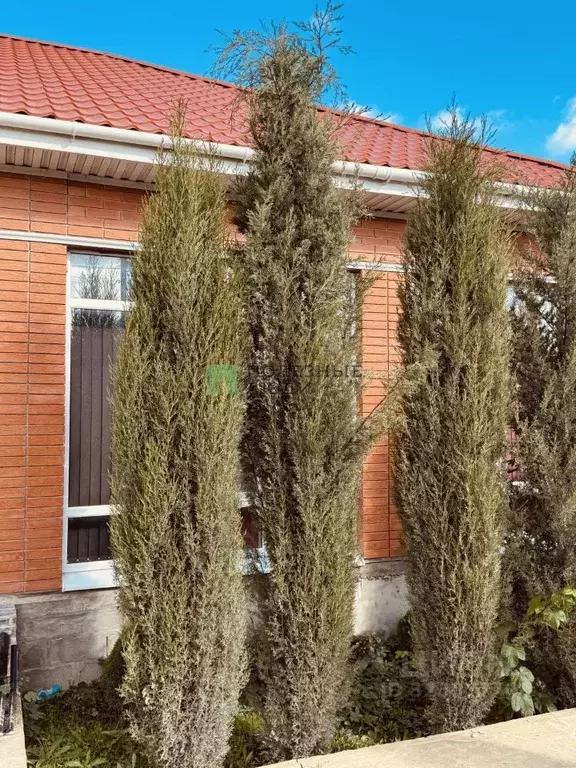 Дом в Краснодарский край, Новороссийск городской округ, Раевская ... - Фото 1