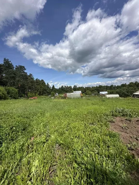 Участок в Татарстан, Верхнеуслонский район, Шеланговское с/пос, пос. ... - Фото 1