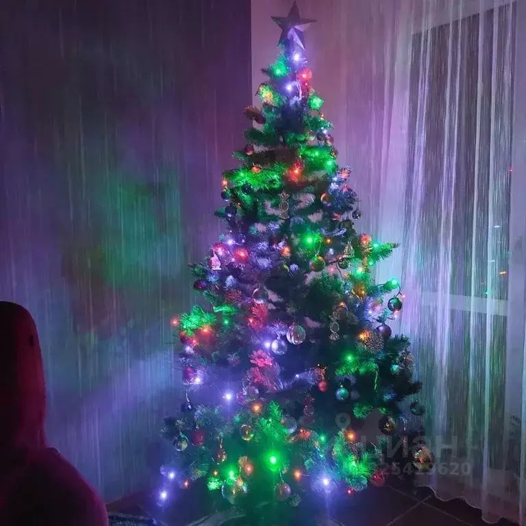 Дом в Вологодская область, Великоустюгский муниципальный округ, ... - Фото 2