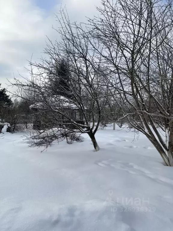Участок в Тверская область, Старицкий муниципальный округ, д. Молоково ... - Фото 2