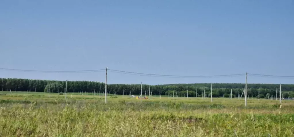 Участок в Татарстан, Лаишевский район, с. Сокуры  (10.0 сот.) - Фото 2