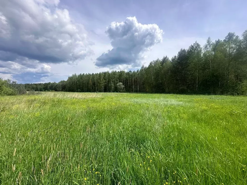 Участок в Московская область, Богородский городской округ, д. Тимково ... - Фото 0