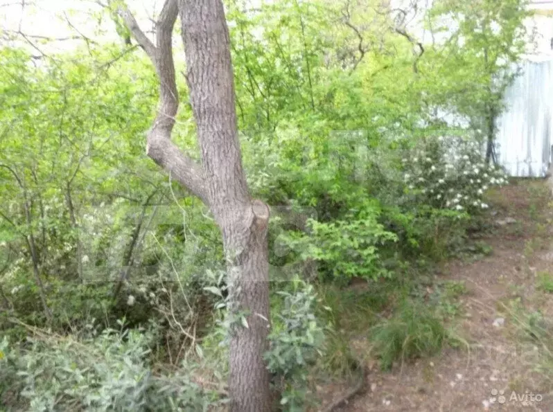 Участок в Ялта, улица Кирова, 19 (8 м) - Фото 2