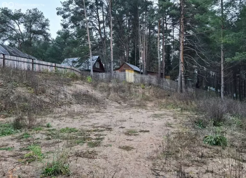 Участок в Вологодская область, Усть-Кубинский муниципальный округ, ... - Фото 2