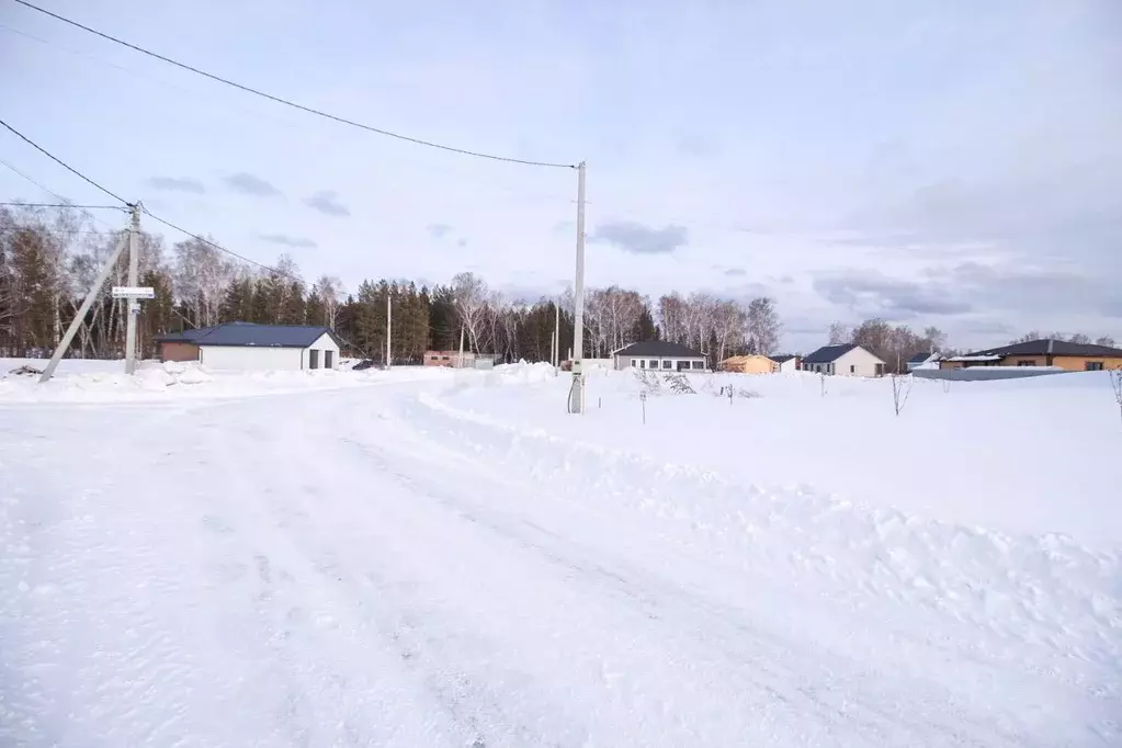 Участок в Алтайский край, Первомайский район, с. Фирсово Палитра жилой ... - Фото 1