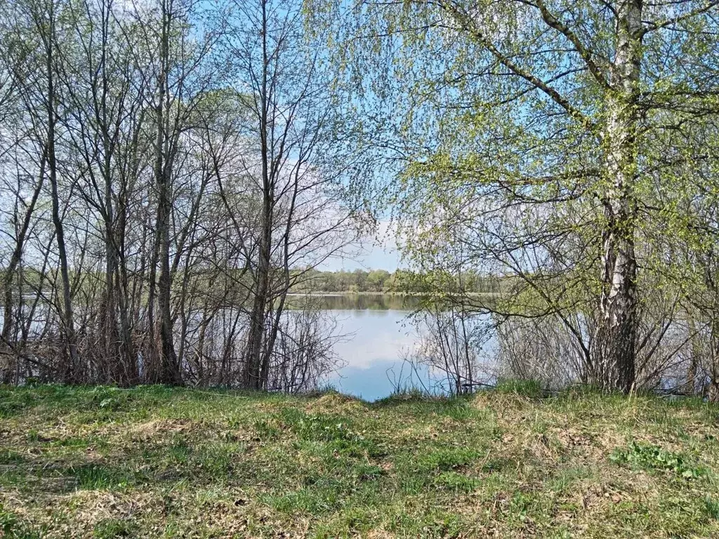 Участок в Новгородская область, Парфинский район, Федорковское с/пос, ... - Фото 0