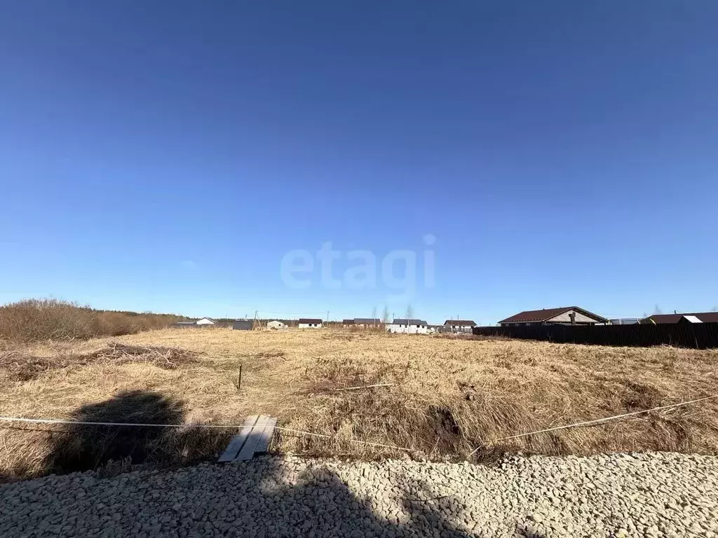 Участок в Ленинградская область, Гатчинский муниципальный округ, д. ... - Фото 2