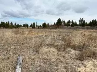Участок в Бурятия, Прибайкальский район, Железнодорожник СНТ  (20.0 ... - Фото 2