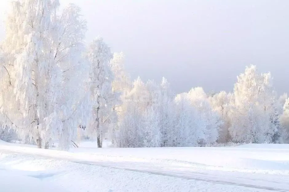 Участок в Саратовская область, Балашовский район, Лесновское ... - Фото 1