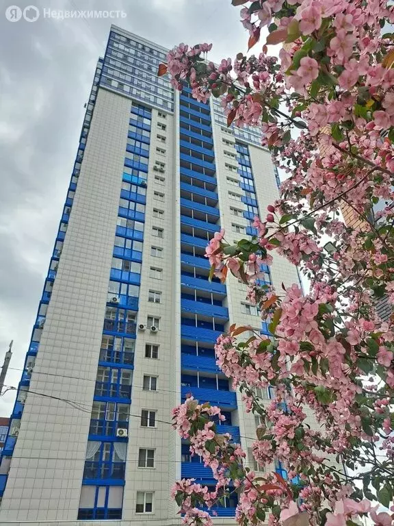 Квартира-студия: Барнаул, Пролетарская улица, 165 (34 м) - Фото 1