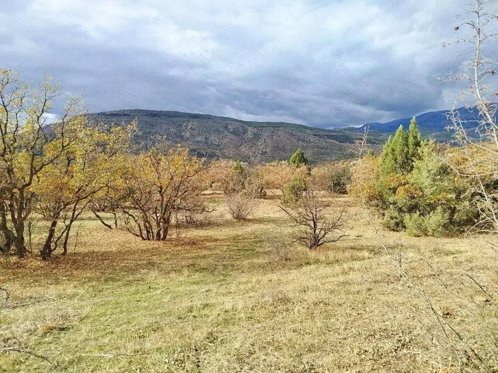 Участок в Крым, Алушта муниципальный округ, с. Приветное  (5.0 сот.) - Фото 1
