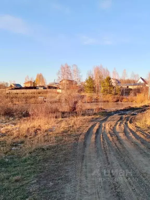 Участок в Томская область, Томский район, с. Межениновка Дорожная ул. ... - Фото 2