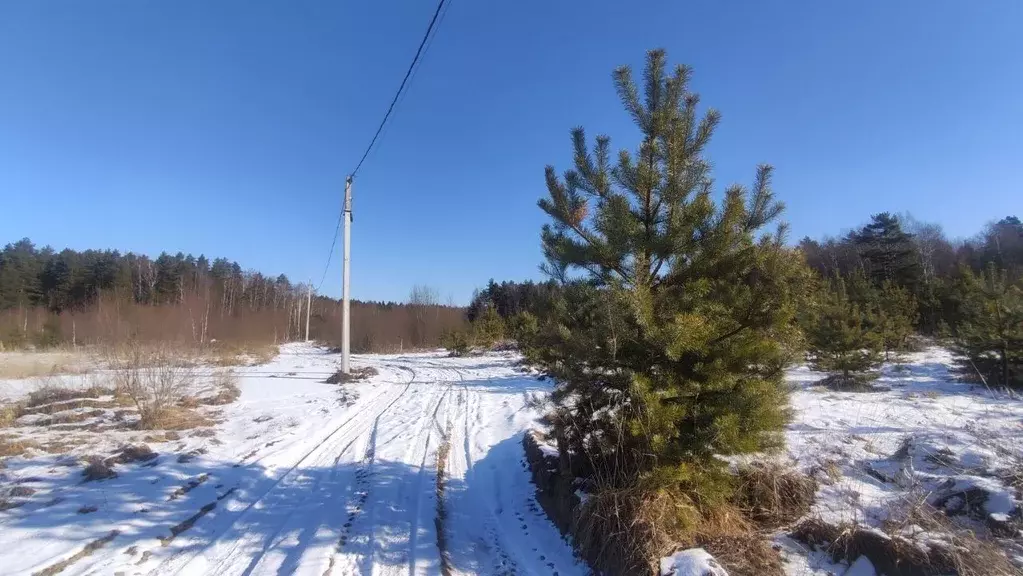 Участок в Владимирская область, Владимир д. Уварово, ул. Юринская, 11 ... - Фото 2
