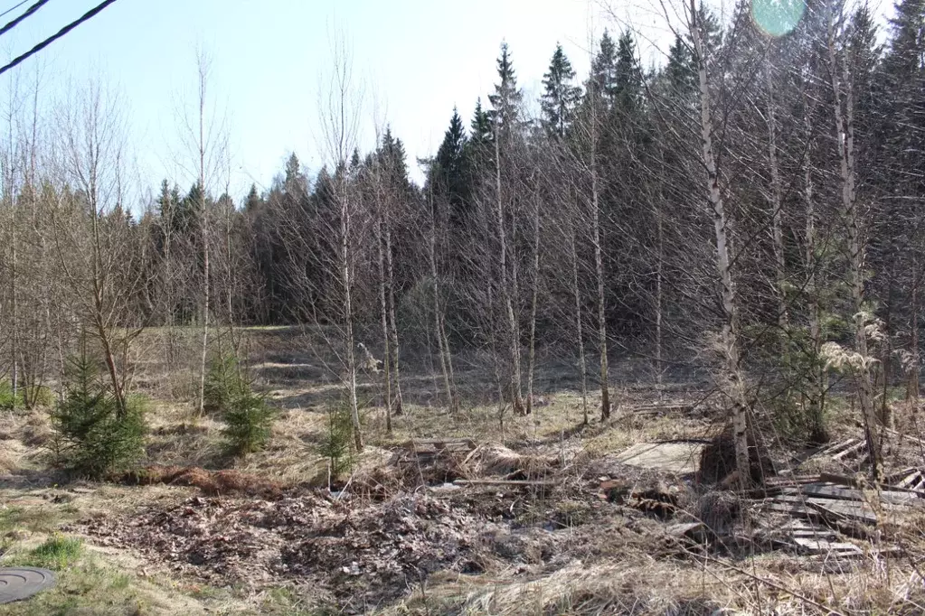 Участок в Московская область, Химки городской округ, д. ... - Фото 1