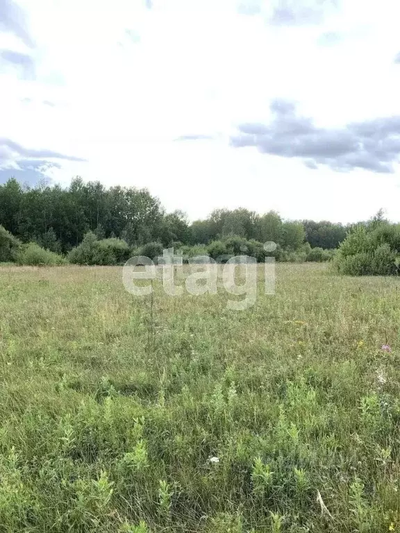 участок в тюменская область, тюменский район, с. горьковка (8.2 сот.) - Фото 0