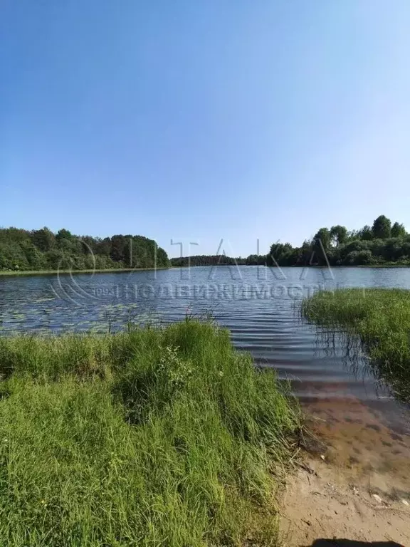 Участок в Ленинградская область, Приозерский район, Севастьяновское ... - Фото 0