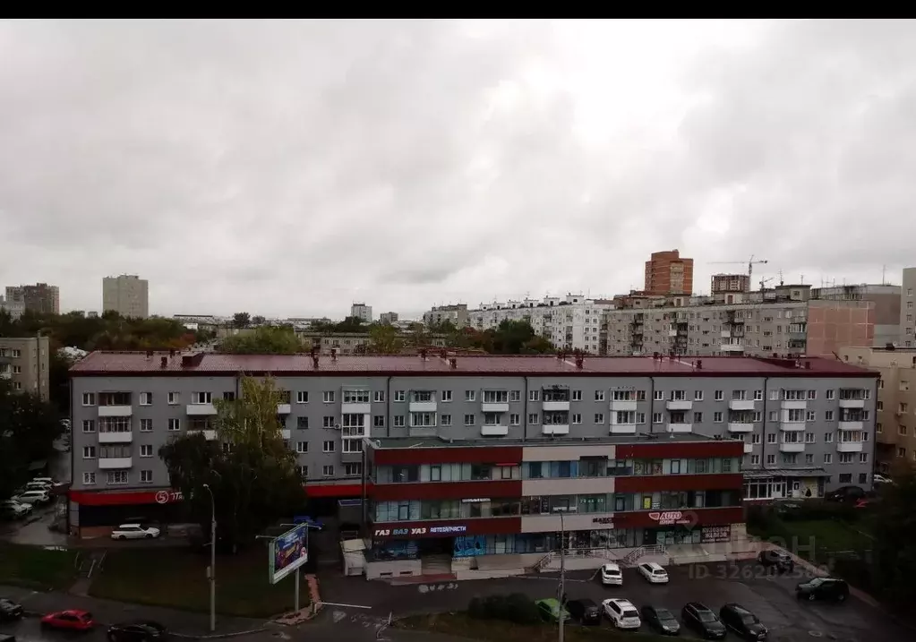 Торговая площадь в Новосибирская область, Новосибирск ул. Кошурникова, ... - Фото 2