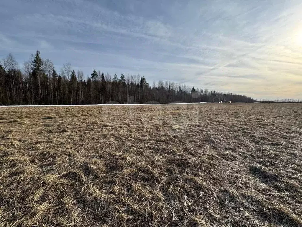 Участок в Коми, Корткеросский район, Додзь муниципальное образование, ... - Фото 1