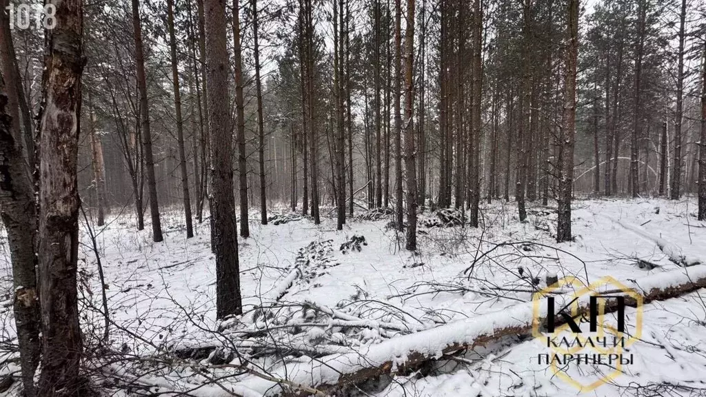 Участок в Свердловская область, Полевской ул. Ленина (75.0 сот.) - Фото 0