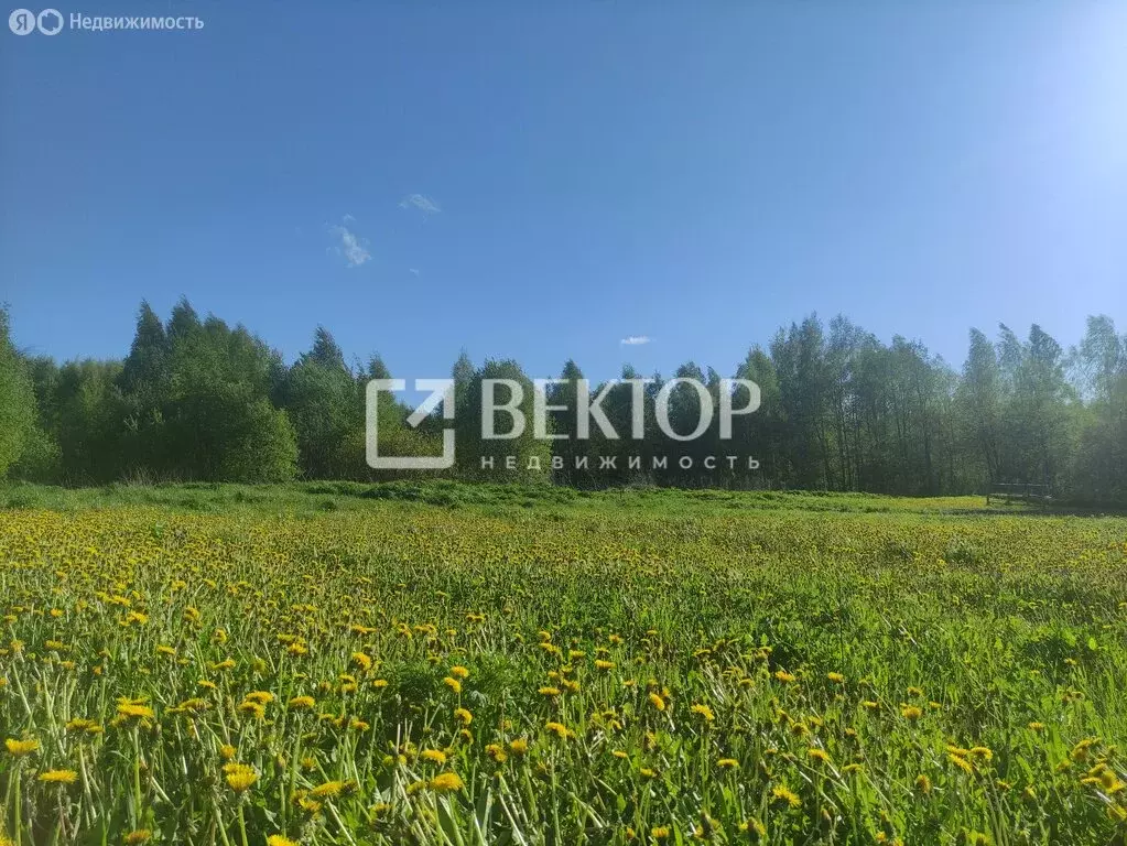 Участок в Костромской район, Бакшеевское сельское поселение, деревня ... - Фото 1