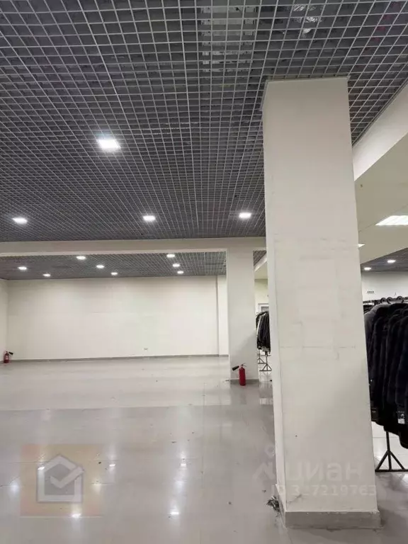 Торговая площадь в Севастополь просп. Генерала Острякова, 64 (282 м) - Фото 1