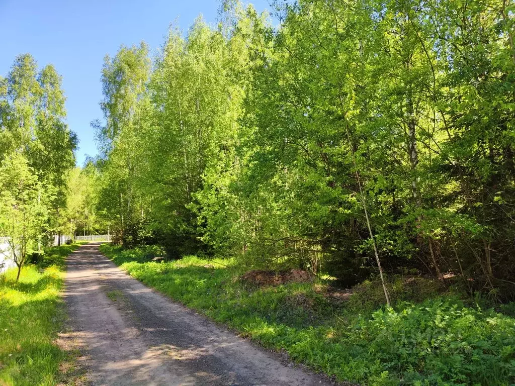 Участок в Владимирская область, Александровский район, ... - Фото 1