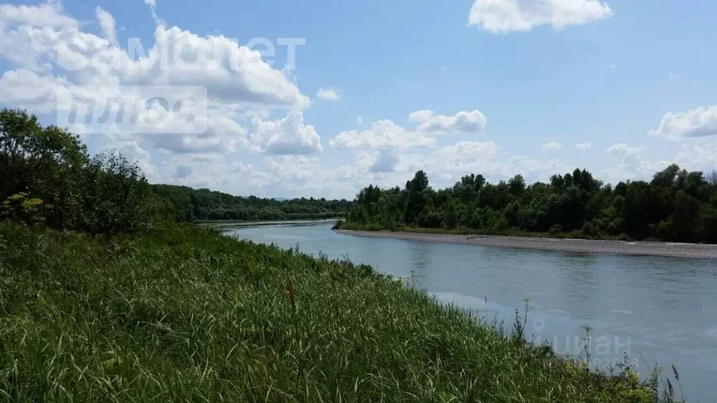 Участок в Алтайский край, Красногорский район, с. Усть-Иша  (9.31 ... - Фото 0