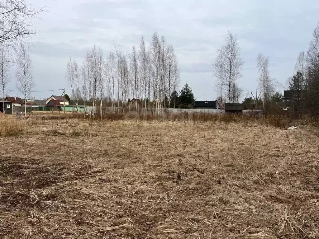 Участок в Ленинградская область, Киришский район, Будогощь пгт, ... - Фото 2