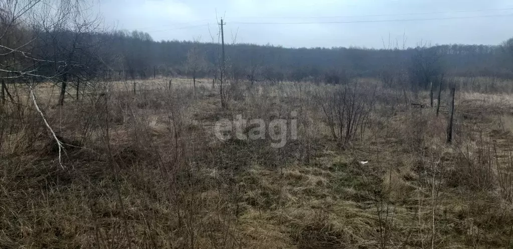 Участок в Воронежская область, Новоусманский район, с. Бабяково ... - Фото 1