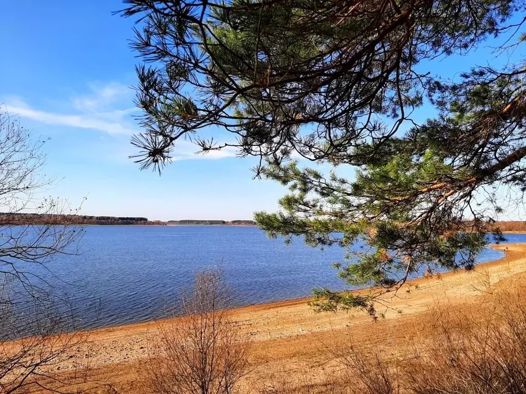 Участок в Московская область, Можайский городской округ, Золотые Пески ... - Фото 1