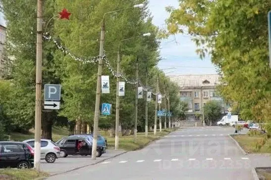 Участок в Челябинская область, Еманжелинск ул. 4-я Транспортная (8.0 ... - Фото 2