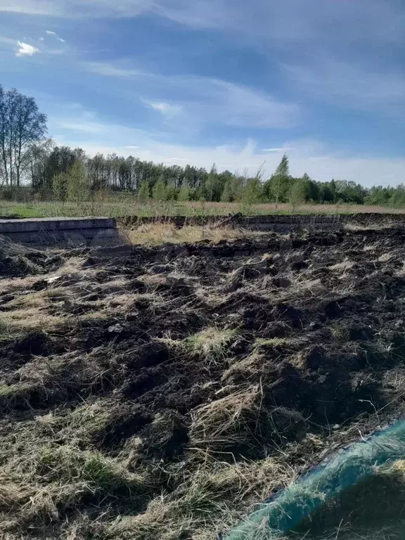 Участок 15 сот. (ИЖС) - Фото 1