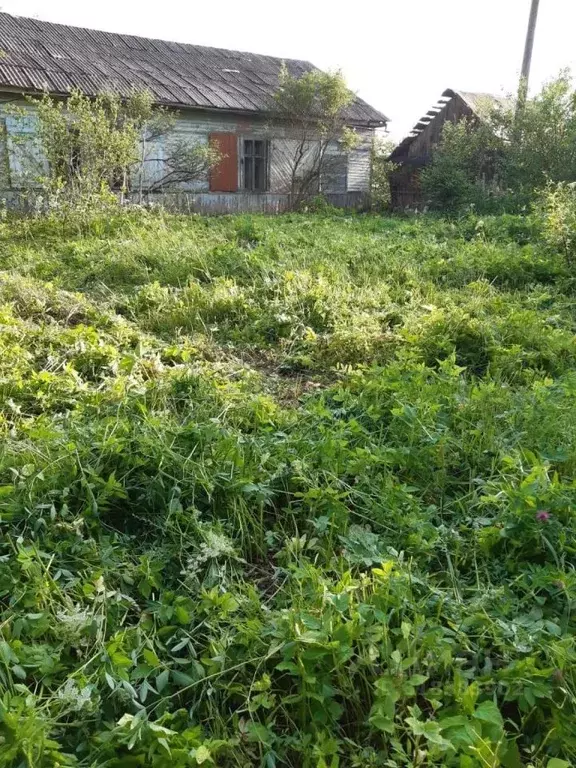 Участок в Новгородская область, Валдай  (31.6 сот.) - Фото 1
