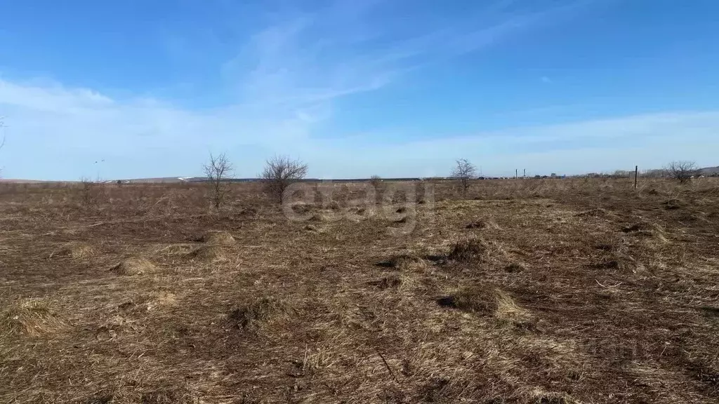 Участок в Алтайский край, Советский район, с. Платово  (12.0 сот.) - Фото 1