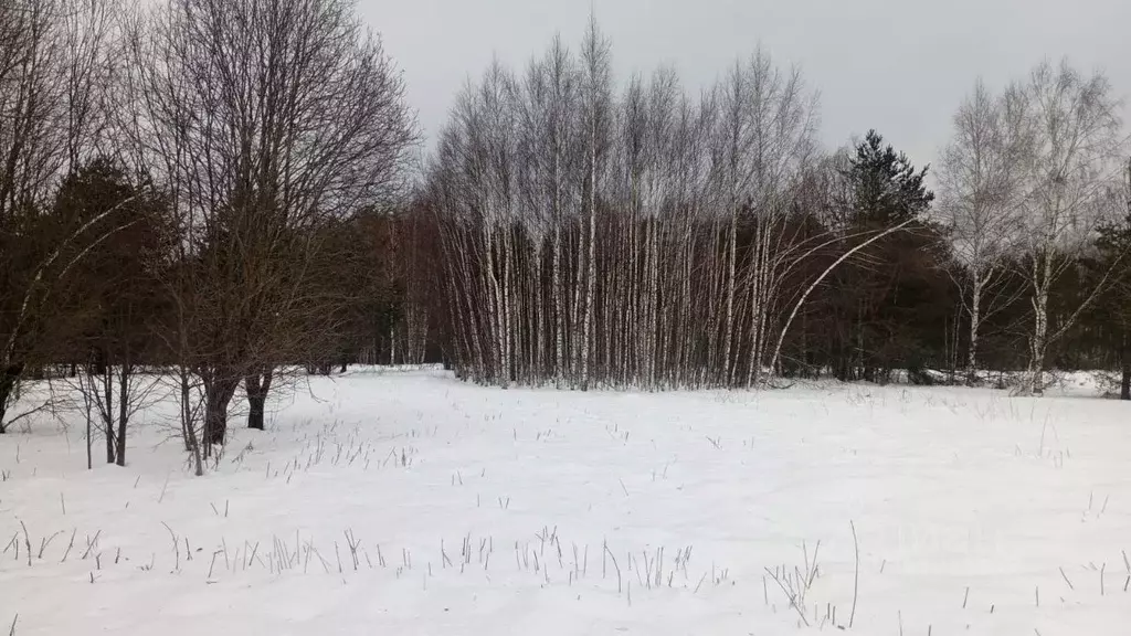 Участок в Московская область, Можайский муниципальный округ, д. ... - Фото 0