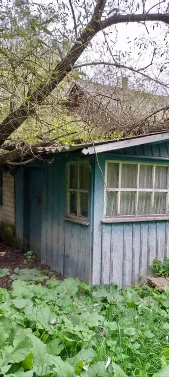 Помещение свободного назначения в Орловская область, Болховский район, ... - Фото 2