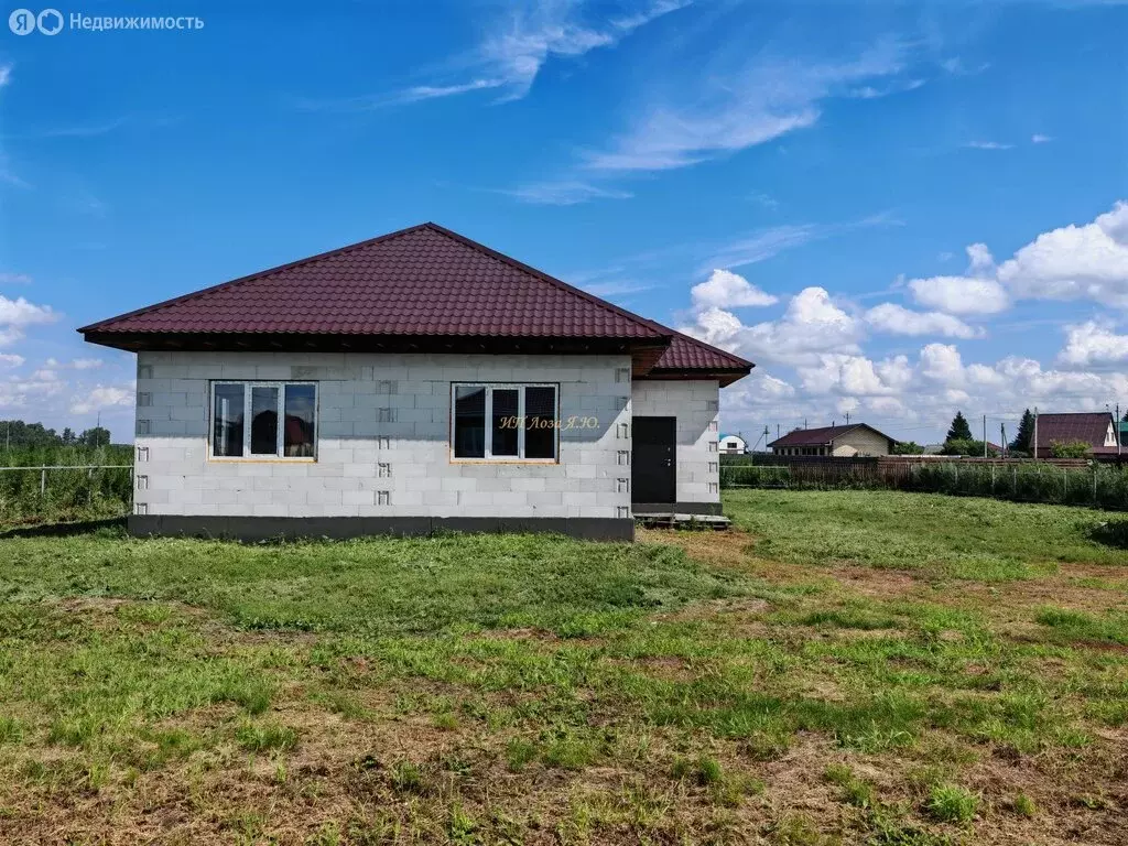 Дом в Омский район, Лузинское сельское поселение, деревня Петровка ... - Фото 1