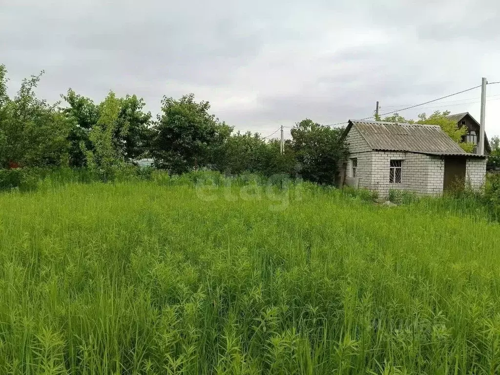 Дом в Брянская область, Брянский район, Новодарковичское с/пос, пос. ... - Фото 2
