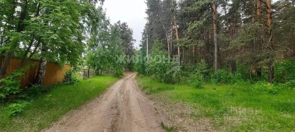 Участок в Новосибирская область, Ордынский район, с. Нижнекаменка ... - Фото 1