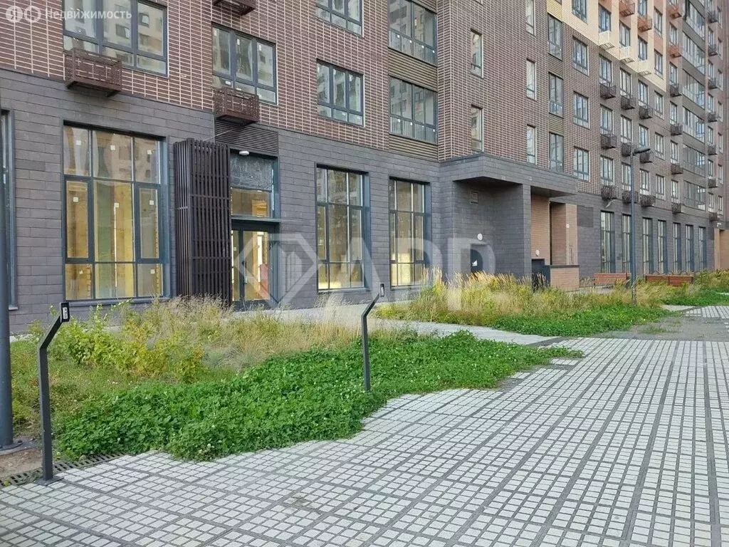 Помещение свободного назначения (129.2 м) - Фото 2