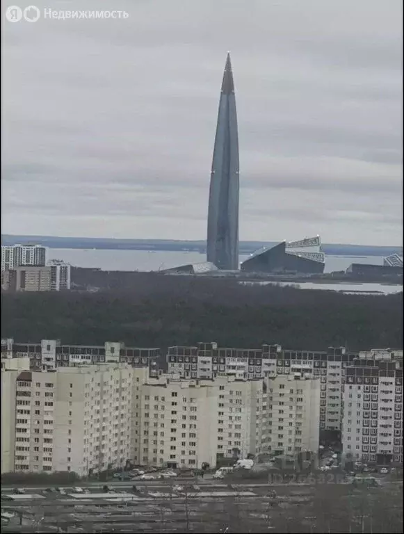 Квартира-студия: Санкт-Петербург, Плесецкая улица, 14 (25 м) - Фото 2