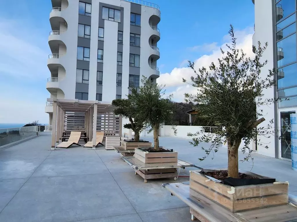 1-к кв. Крым, Ялта муниципальный округ, Гаспра пгт ш. Севастопольское, ... - Фото 1