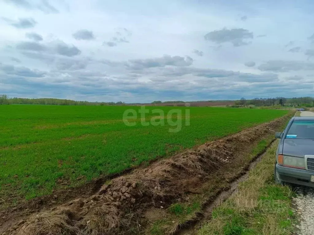Участок в Тульская область, Заокский район, Демидовское с/пос, д. ... - Фото 1