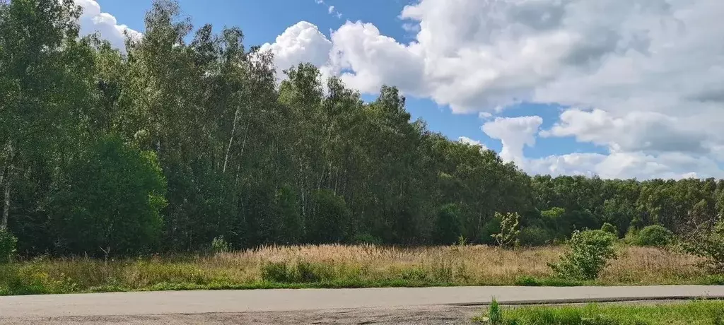Дом в Московская область, Чехов муниципальный округ, д. Слепушкино  ... - Фото 2