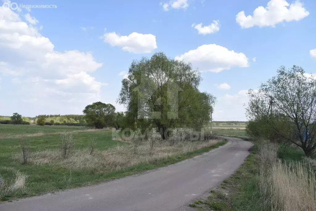 Участок в деревня Кулешовка, Приозёрная улица, 1 (2137 м) - Фото 0