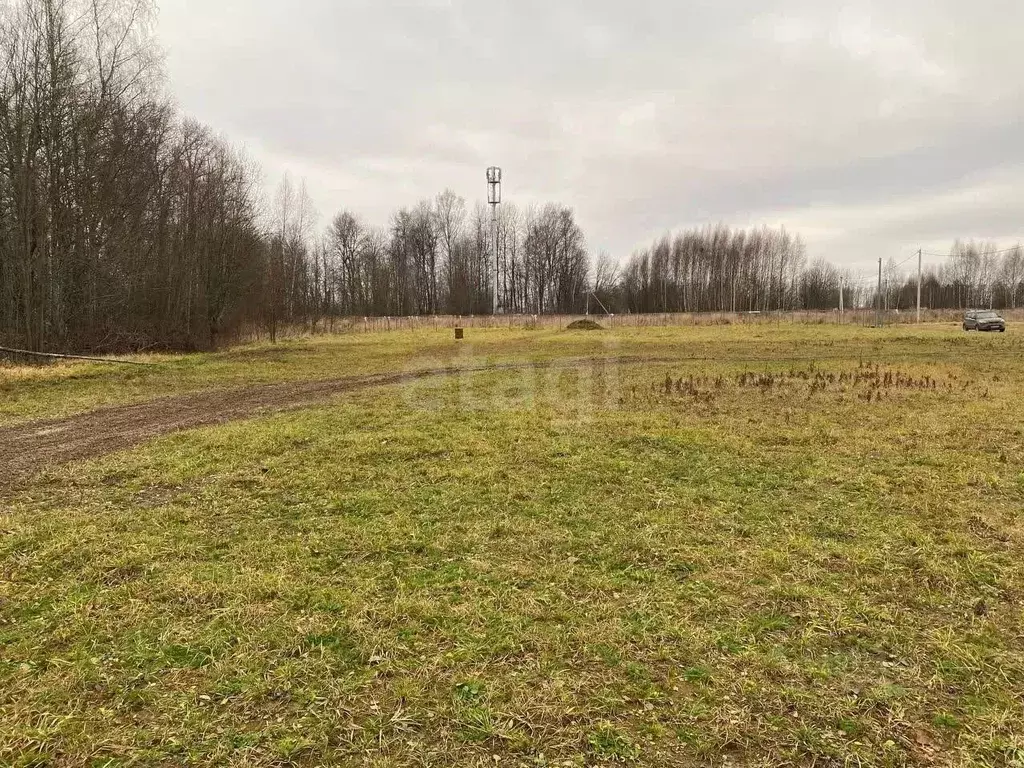 Участок в Ярославская область, Ярославский муниципальный округ, с. ... - Фото 1