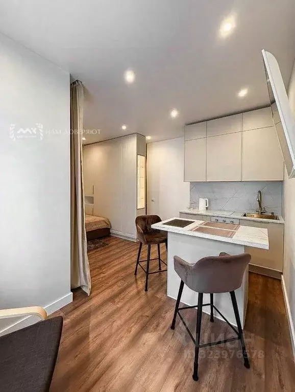 Студия Санкт-Петербург просп. Энергетиков, 2к1 (30.0 м) - Фото 2