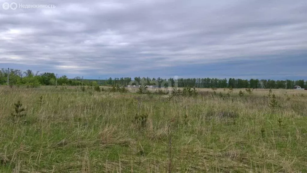 Участок в село Луговое, Лазурная улица (15 м) - Фото 0