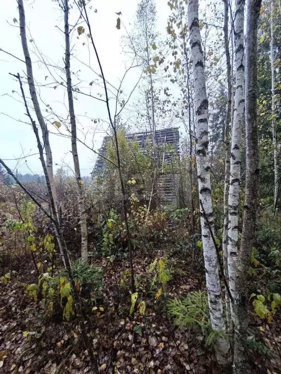 Участок в Ленинградская область, Волховский район, Кисельнинское ... - Фото 1