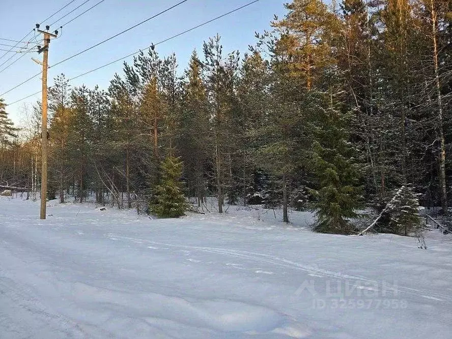 Участок в Ленинградская область, Выборгский район, пос. Поляны  (12.0 ... - Фото 1